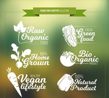 6款创意蔬菜素食标志矢量