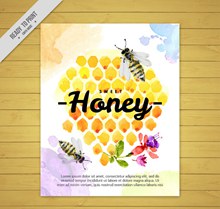 彩绘蜂窝和蜜蜂卡片矢量图片