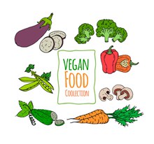 7款彩绘素食蔬菜矢量图下载
