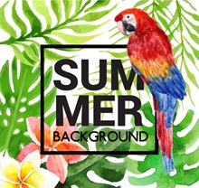 夏季热带鹦鹉和花草矢量图片