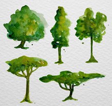 5款水彩绘树木设计图矢量图片
