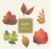 6款彩绘秋季树叶矢量图片