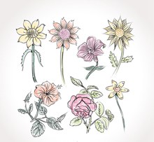 7款彩绘花朵设计矢量