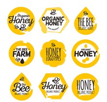 8款黄色有机蜂蜜标志矢量