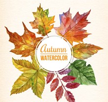 水彩绘秋季树叶框架矢量图片
