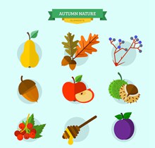 9款美味秋季食物矢量图下载