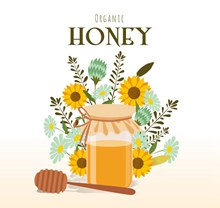 彩色花束和瓶装蜂蜜矢量图下载