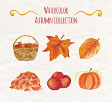 6款水彩绘秋季元素矢量
