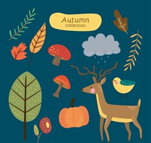 13款创意秋季动植物图矢量图下载
