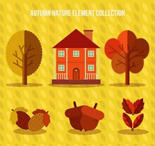 6款秋季植物和房屋设计树木矢量图