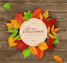 彩色秋季叶子装饰标签矢量图片