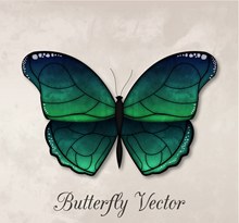 精美绿色蝴蝶设计矢量图片
