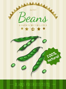 绿色豆子宣传海报矢量