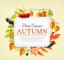 秋季叶子和浆果框架矢量图下载