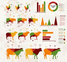 畜牧产品商务信息图矢量图