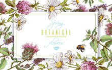 彩绘春季花卉和蜜蜂框架矢量下载