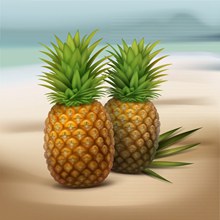 沙滩上的2个新鲜菠萝图矢量图片