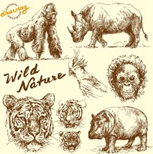 8款手绘野生动物设计矢量图
