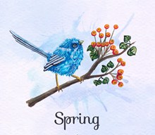 彩绘春季花枝上的蓝色鸟矢量下载