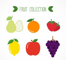 6款扁平化彩色水果设计图矢量图