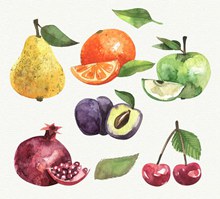 6款水彩绘水果和叶子矢量下载