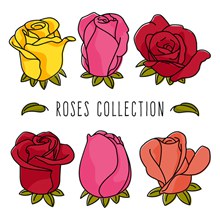 6款彩色玫瑰花设计矢量图下载