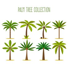 8款绿色棕榈树设计矢量