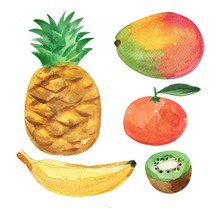 5款水彩绘水果矢量图