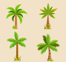 4款绿色棕榈树设计图矢量图