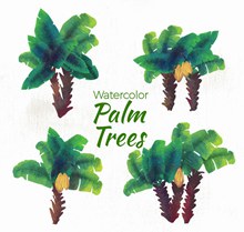 4款水彩绘绿色棕榈树图矢量图下载