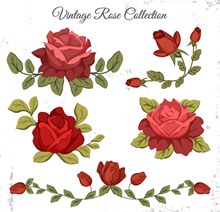 5款复古红色玫瑰花矢量图片