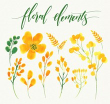 9款水彩绘黄色花卉和叶子图矢量图片