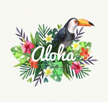 创意夏威夷大嘴鸟和花卉图矢量素材