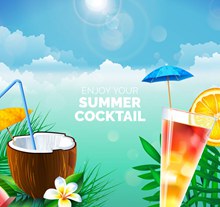 精美夏季鸡尾酒和椰汁图矢量