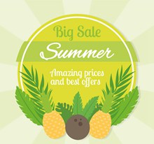 夏季菠萝和椰子装饰促销标签图矢量下载
