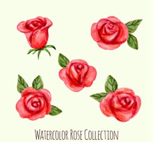 5款水彩绘红玫瑰矢量下载
