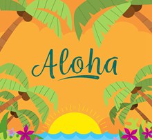 彩色夏威夷岛屿日落风景矢量下载