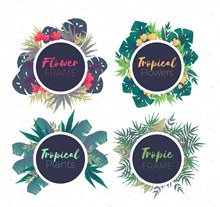 4款彩绘热带花卉框架矢量