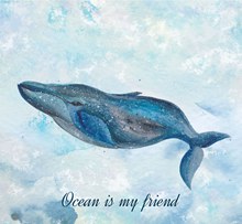 彩绘海里的布氏鲸矢量图片