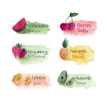 6款水彩绘新鲜水果果汁标签图矢量素材
