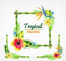 3款水彩绘热带花卉边框图图矢量图片