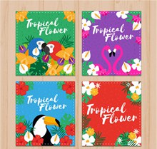 4款彩色热带花鸟卡片矢量图