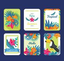 6款彩色夏季热带卡片矢量素材