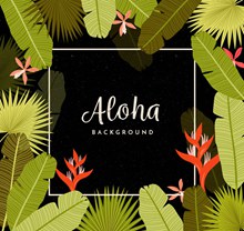 创意夏威夷棕榈树叶和火鹤花框架图矢量图