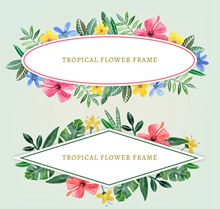 2款彩绘热带花卉框架矢量图下载