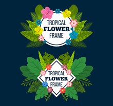 2款创意热带花草框架矢量图片