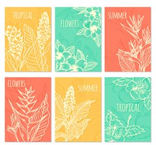 6款创意白色夏季热带植物卡片矢量下载