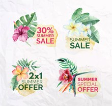 4款水彩绘热带花卉夏季促销标签图矢量素材