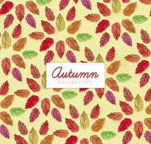 彩绘秋季树叶无缝背景矢量图片