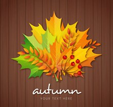 彩色秋季树叶花束矢量图片